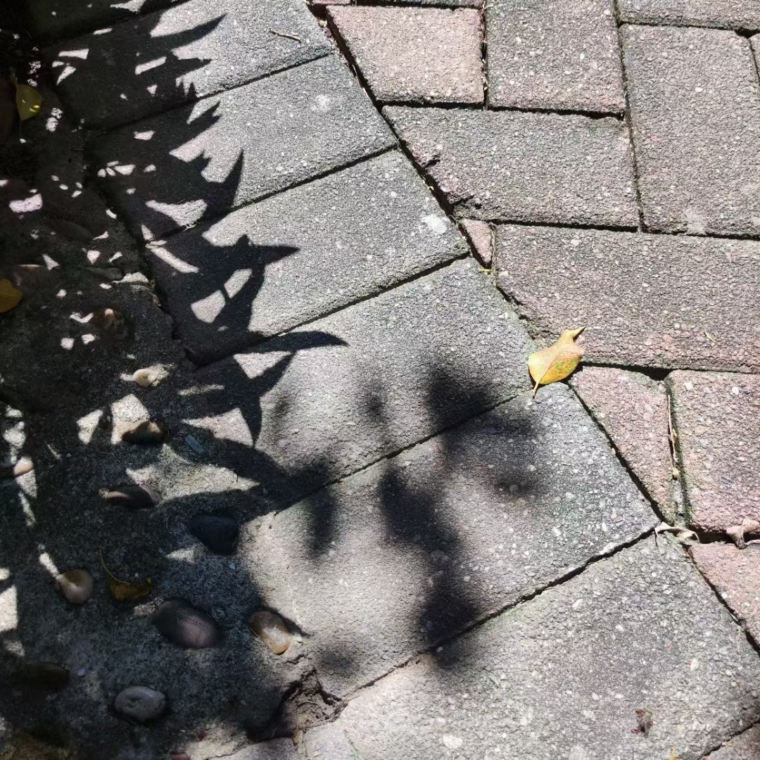 补差价不退不换