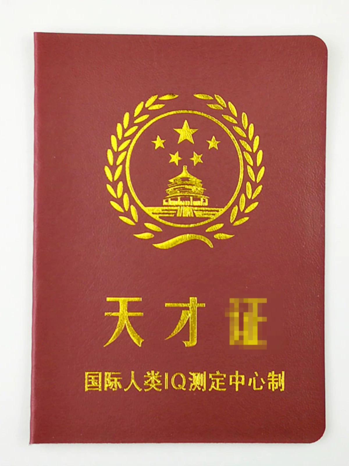 Сертификат «Пищевик», Сертификат «Социальный потрясающий», Сертификат «Страх», Лицензия «Гордость», Сертификат «Лучший друг», Сертификат «Креативный забавный хитрый»