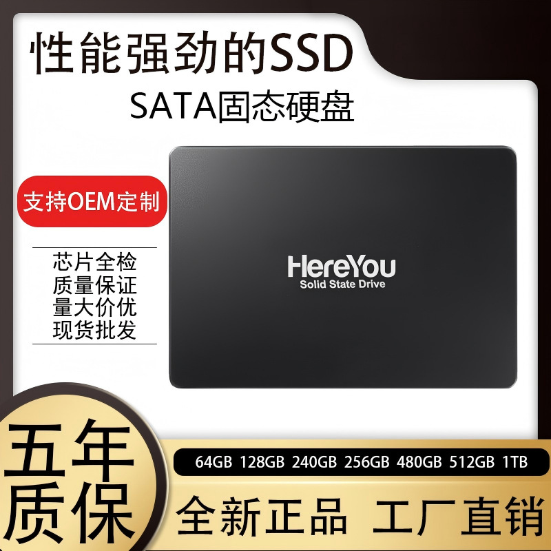 SSD disk 256GB, 512GB və 1TB seçimləri, SATA 3.0 interfeysli