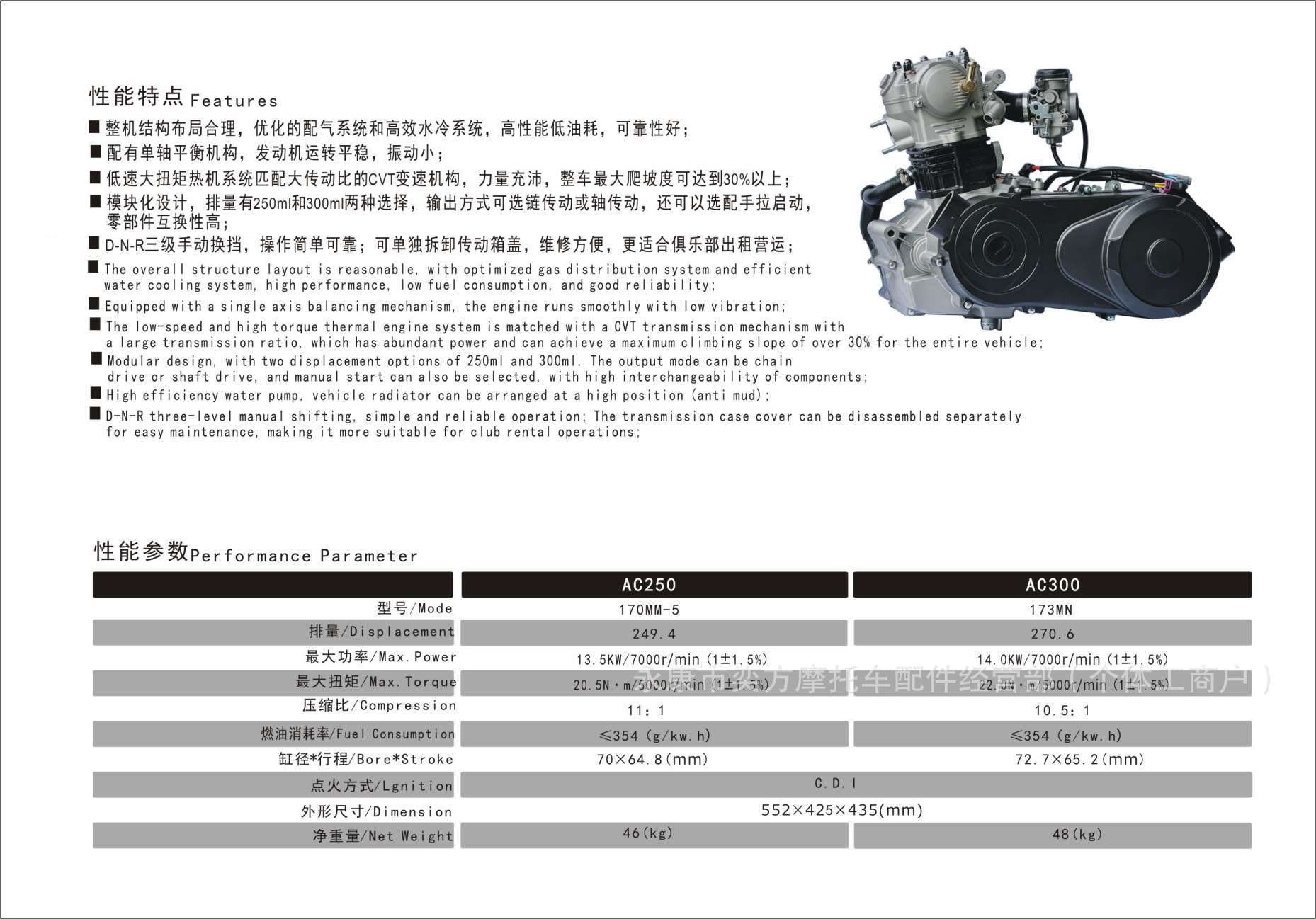 173Mn Bashan 300Cc Built-In Reverse Gear Chain Drive Shaft Water-Cooled Engine for Atv Go-Kart