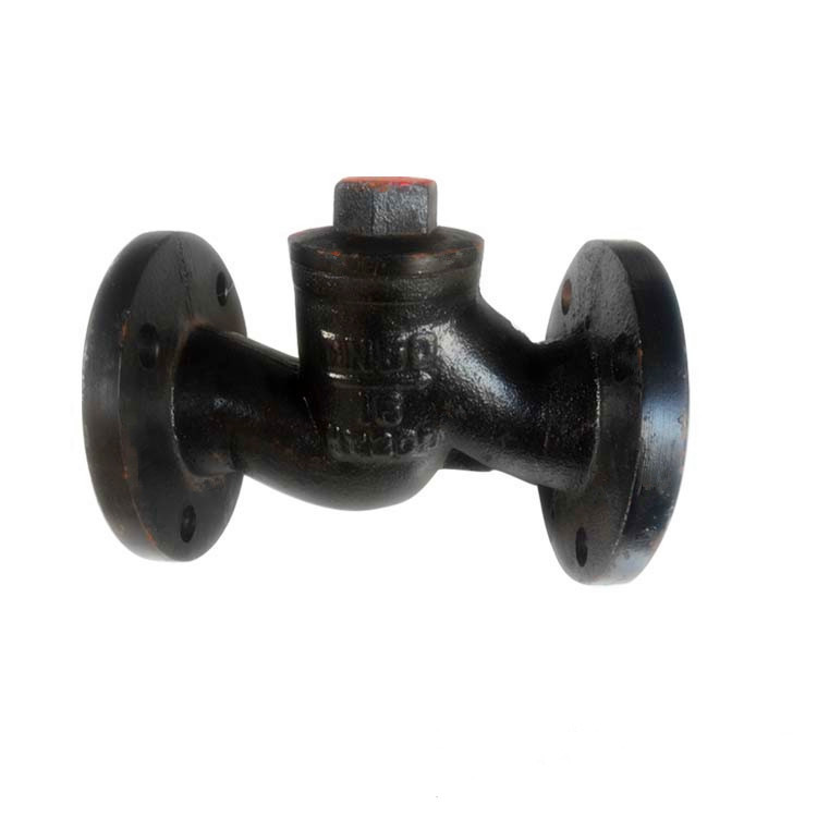 浙江南一阀门H41T-16 DN125铸铁升降式止回阀