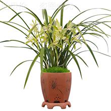 �҃���Ʒ�������B���ܾGֲ�������Ĳ����͏d����y�U���m��������