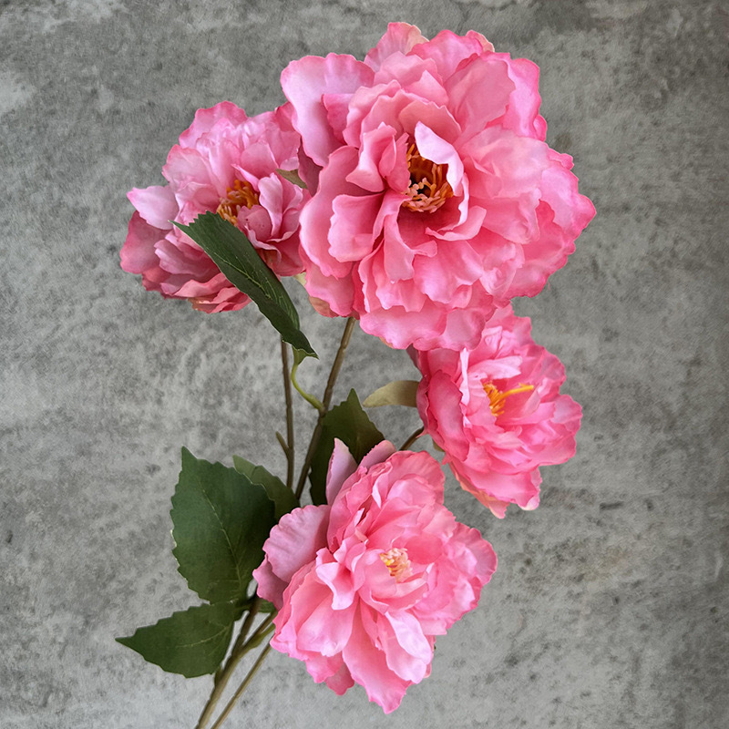 4 스마트 피오니-로즈 핑크