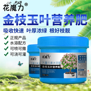 ��֦���~���Ԍ��àI�B�ʘ��R�X�{С�~�������y��ľ�R�X�{�辰�÷�