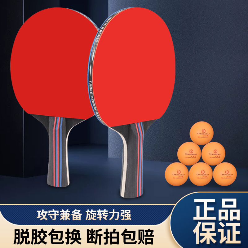 [프로 내구성 수평 라켓 2개 + 볼 4개 + 라켓 가방]