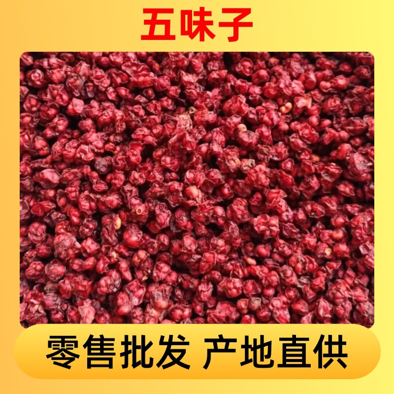 东北五味子批发五味子吉林五味籽 厂家直发五味子500g1斤