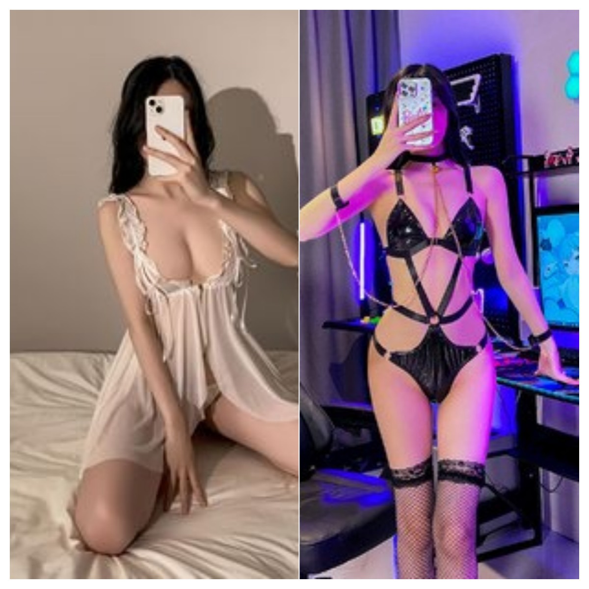 화이트+2481+칼라