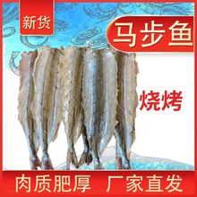 马步鱼干大号烧烤专用棒棒鱼新鲜甜香批发零售海鲜烧烤商用鱼干