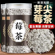 莓茶官方旗舰店正品野生500g张家界霉茶嫩芽藤茶新鲜的功效与作用