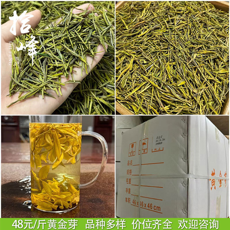 浙江2025年新茶明前茶春茶緑茶安吉工芸濃香型黄金芽茶葉卸売りバラ|undefined