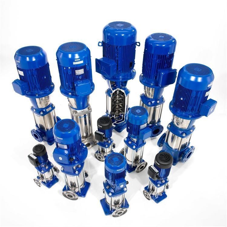 Xylem-LOWARA立式增压泵10SV08F030T 10SV09F040T销售默认项