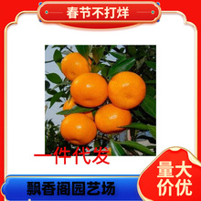 ���θ����Ĵ��������J�����ָ��紺Ҋ�����粻֪������箔��Y��