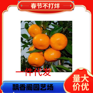 ���θ����Ĵ��������J�����ָ��紺Ҋ�����粻֪������箔��Y��