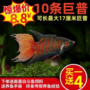 �Ї����~���w���~��ˮ��ˮ�^�p�~���B���B���~С��ԭ�����_�~�~��