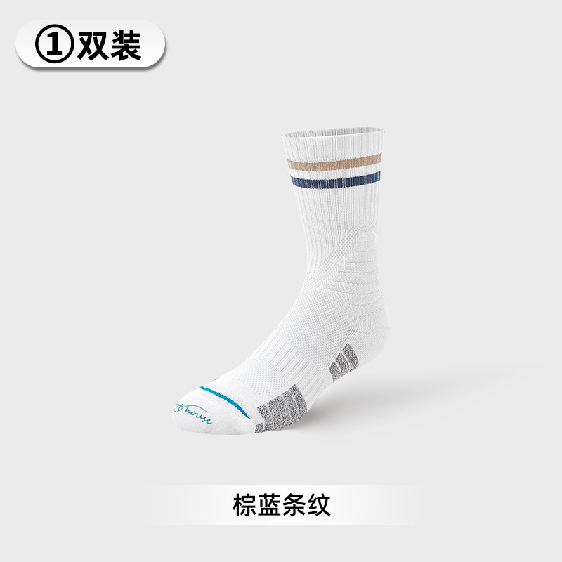 갈색과 파란색 줄무늬