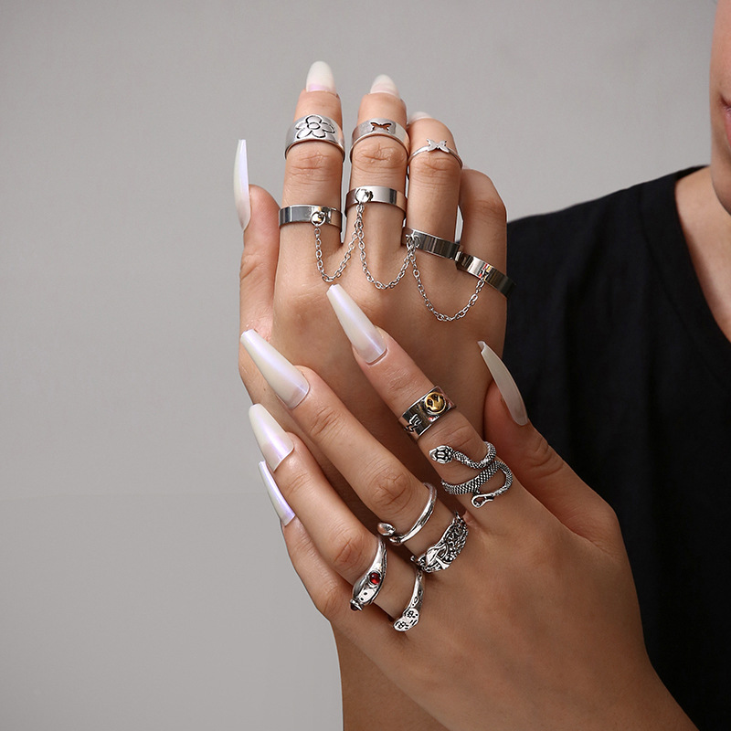 Cross-border New Ring 13-piece Set Bohemian Style Ring Chain Butterfly Frog Snake Ring display picture 3