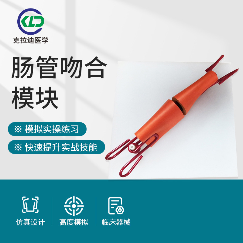人体肠管吻合模块腹腔镜模拟训练器批发模拟腹腔内肠管熟练度培训