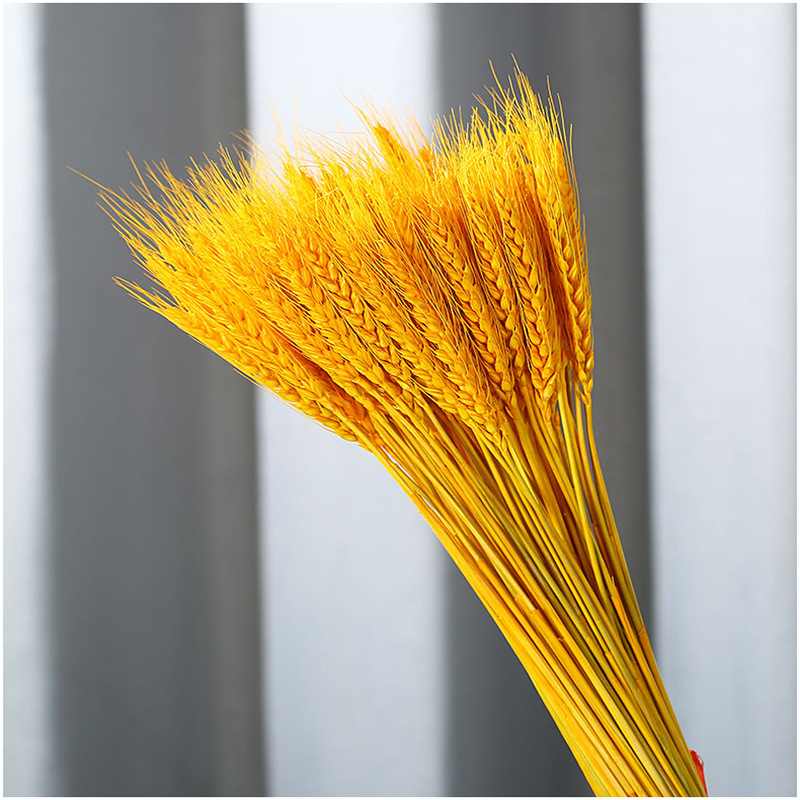 Factory Wholesale Natural Wheat Dried Flower Bouquet Opening Grand Wheat Decorative Ornament Rustic Style Dried Flower Vase Flower Arrangement Photography Prop