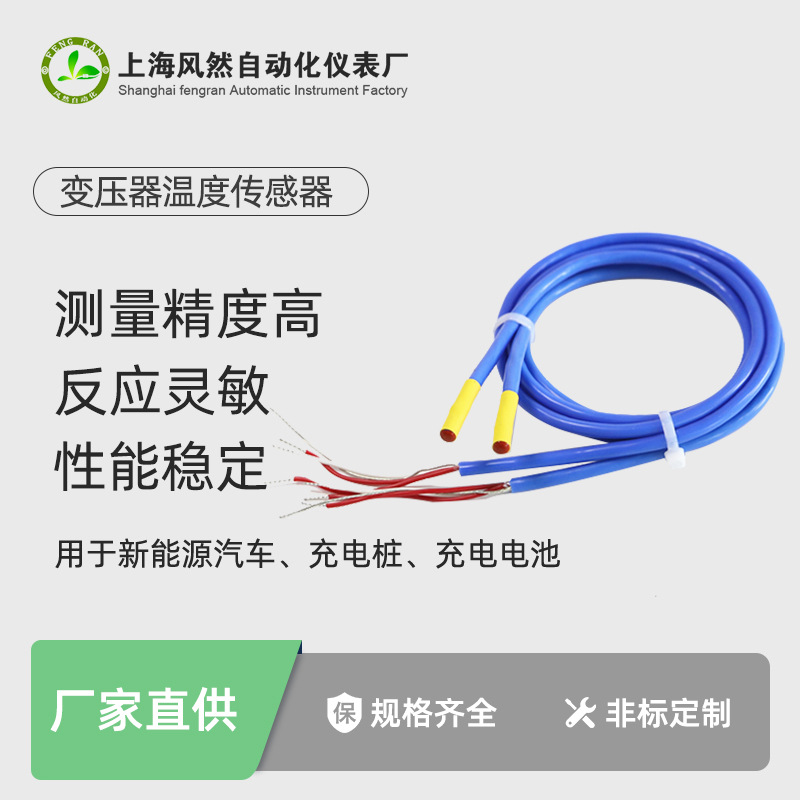 线缆式的温度传感器 干式变压器用测温铂电阻PT100热电阻厂家直供
