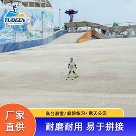 其他滑雪用品;跑道草坪;其他球类配套