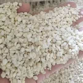 新货福建薏仁米宁化糯薏米农家新鲜薏米仁小薏仁米仁薏苡仁25kg