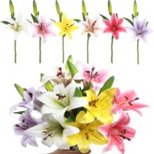 �羳���滨�ٻ���������ٺϼҾ��҃ș���������[�O��ˇƷ���l