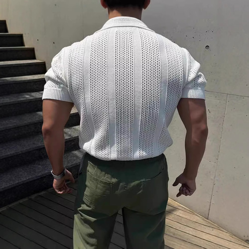 Trendy New Japanese Omotesando Style Unbranded Laced Collar Breathable White Knit Short Sleeve T-shirt for Versatile Wholesale