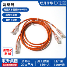 ���Ƽ��~����W���ӹ�8P8оRJ45ˮ���^�����B�Ӿ� ���ƾW�j����