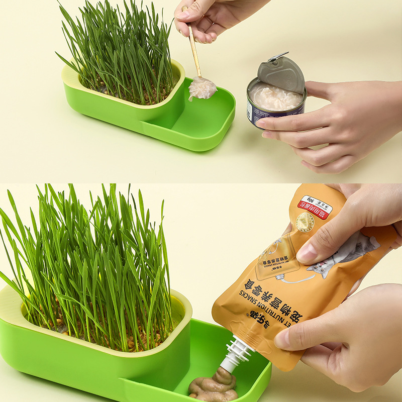 Cat grass potted wheat seed seedling plate soilless hydroponic hairy grass catnip self-grown baby cat snacks