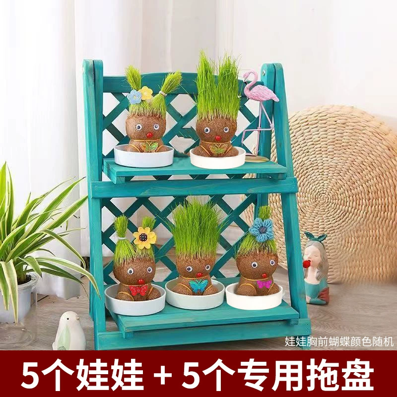 [批发草头娃娃浇水头上长草人绿植长头发儿童好养种草幼儿园桌面小]