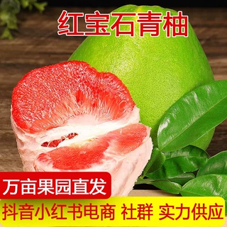 产地直发红宝石青柚柚子新鲜红心柚青皮孕妇水果红肉酸甜一件代发