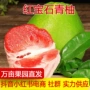孕妇直发新鲜产地红心柚