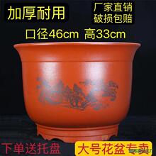 ��ڏ��̨�ش�̖�F�仨���մɻ����մ��؃r�軨��A�ΰlؔ������