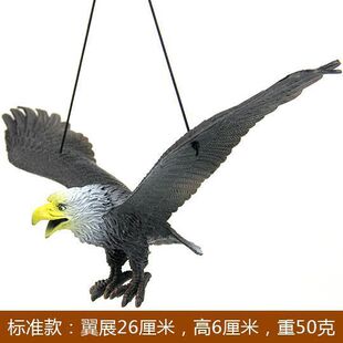 �s�B��B�����̨�@�B������B������B��ģ�ͼ��ˇ�С�B�õ�