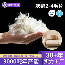 ����2-4ëƬ�����qƬɳ�l������������qԭ�������Դ�^���S