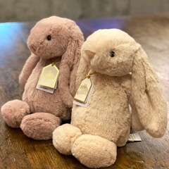 至高の金標邦尼兎は恥ずかしがり屋です。