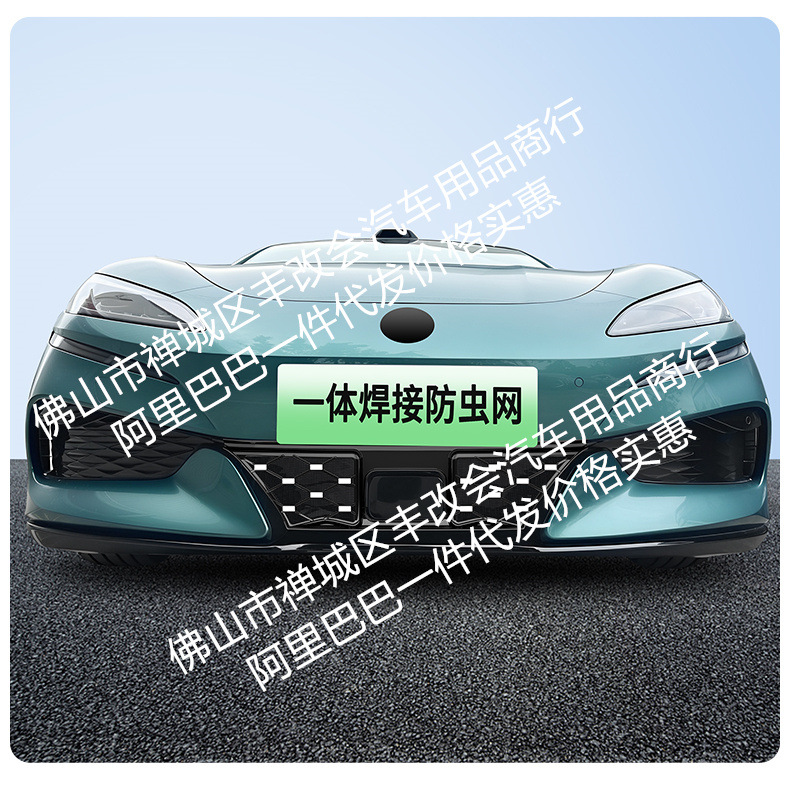 Suitable for Denza Z9GTEV, integrated welded car anti-insect net, front grille special modification decorative strip accessories