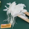 6-8 Tear white tails, starting from 50 pieces