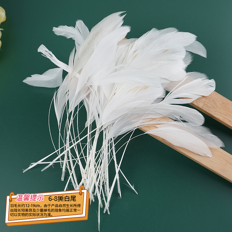 6-8 찢어진 흰꼬리, 최소 50개