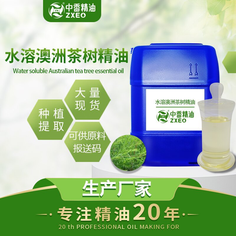 厂家现货茶树精油  水溶澳洲茶树油  互生叶白千层 化妆品 香薰用