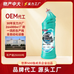 海の新鮮な便器の清潔なトイレのスケール除去と消臭の家庭用商用卸売り500gの瓶の卸売りを手伝います。