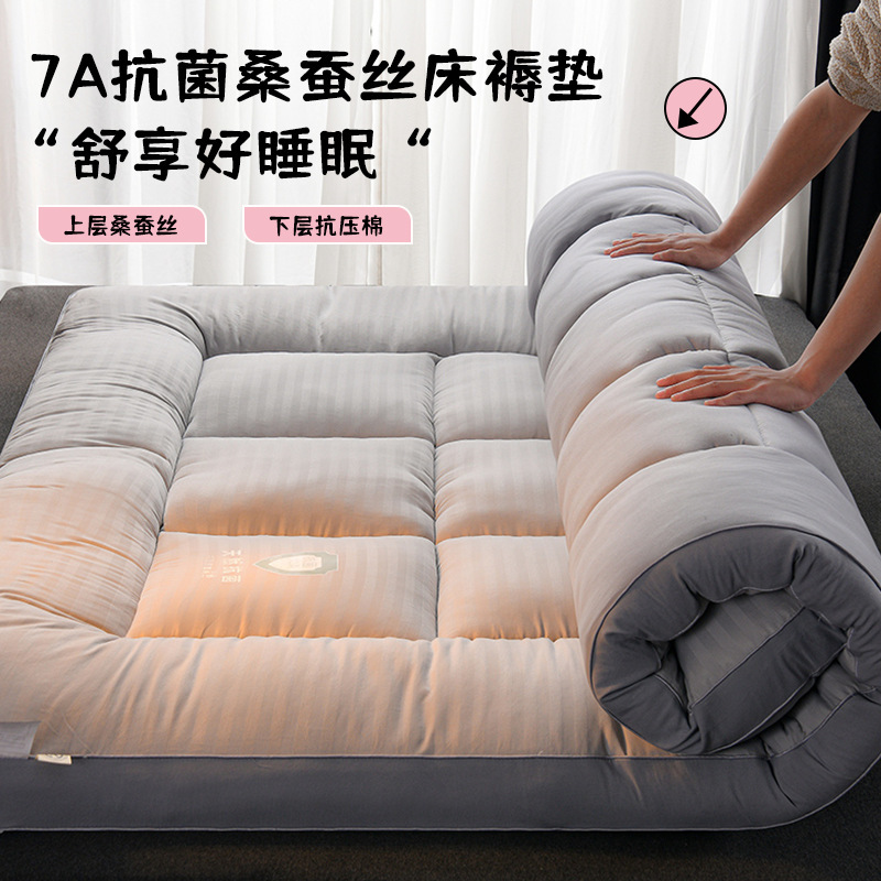 Spring New Skin-Friendly Brushed Silk Mattress Home Fluffy and Comfortable Student Dormitory Bottom Antibacterial Double Mattress