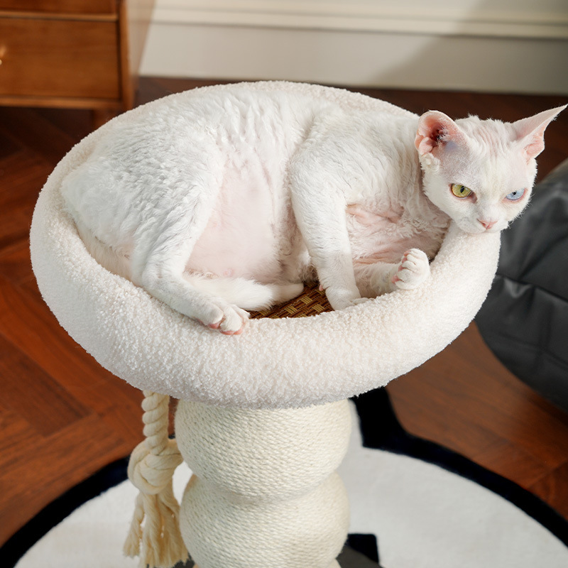 猫爬架小型不占地猫抓板剑麻猫猫抓柱猫爬架猫窝麻绳柱葫芦抓柱|undefined