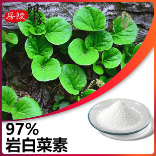 �Ұײ���97% �Ұײ���ȡ���Ұײ˃���BERGENINUM������477-90-7