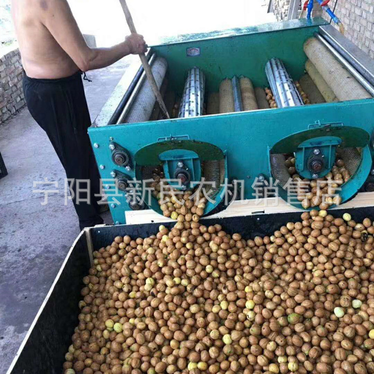陕西渭南地区用核桃去皮机核桃去青皮的机器去皮清洗一体机两相电