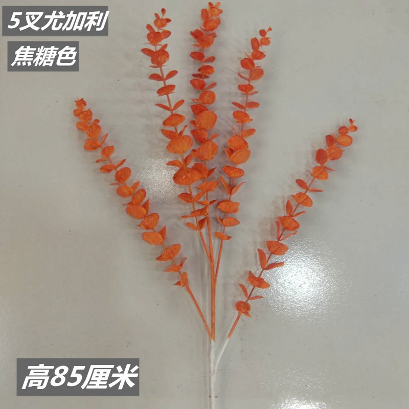 5 포크 유칼립투스