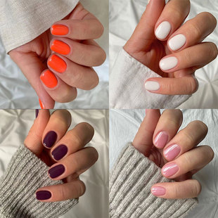 24Ƭ��ָ�״����������NƬ��Ʒ�ɲ�ж�W����ɫ�̿�׿ɲ�ж