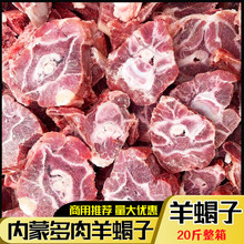 ���r���������ϐ��20�� �����򼹹��򱳹Ǹ��򼹹��򲱹� �����]