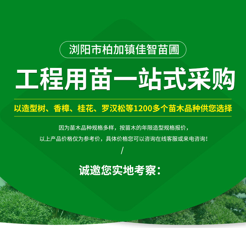 ����������ȥ��1