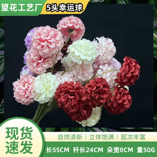 ��Ʒ5�^���\����潑�����l��Y�û��Ų廨���޽�������Ĕz����